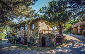 Cozy Apartment In Castiglione Dorcia With Sauna